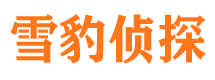 碌曲市婚姻出轨调查